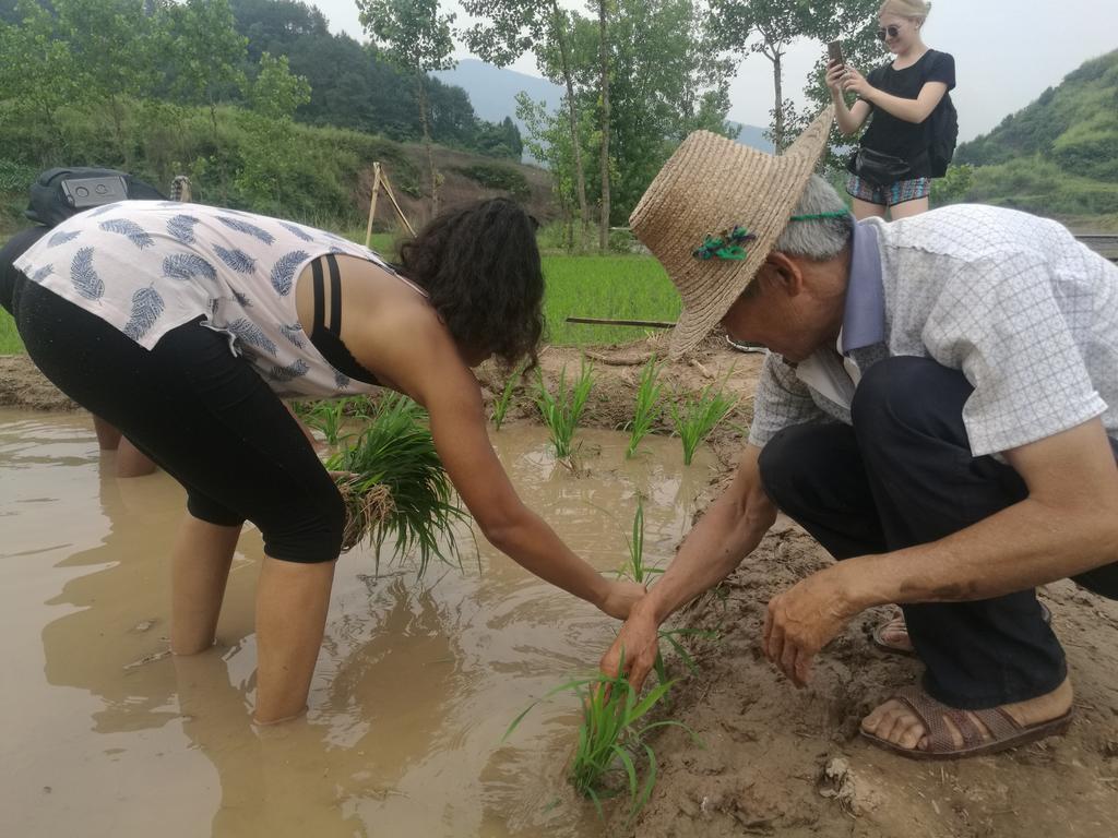 Zhangjiajie Jijiehao Inn Esterno foto